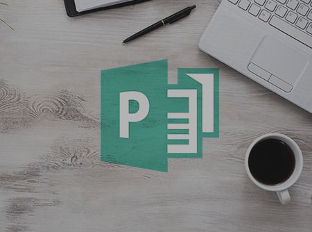 couverture de : Publisher 2013 : les Fondamentaux