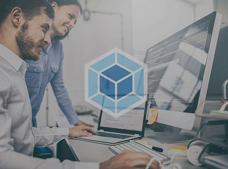 couverture de : Webpack 4 : les Fondamentaux