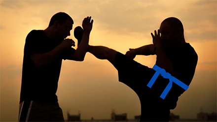 couverture de : Krav Maga : Ceinture bleue