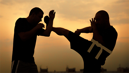 couverture de : Krav Maga : Ceinture marron