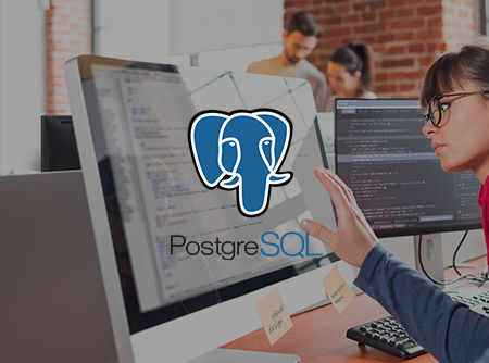 couverture de : PostgreSQL : les Fondamentaux