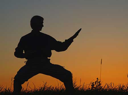 couverture de : Tai Chi : les Fondamentaux