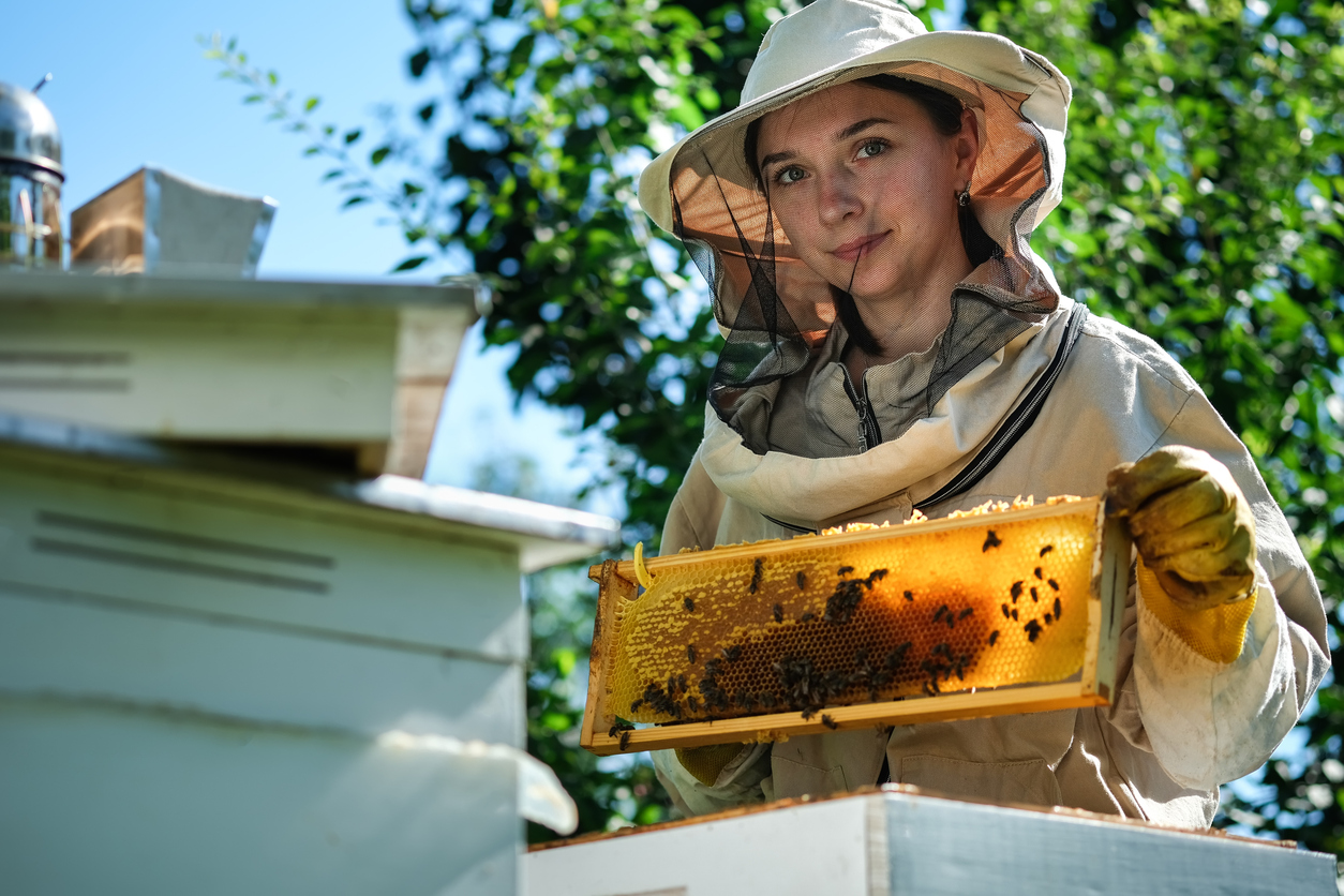 Ruche, abeilles et produits apicoles | 