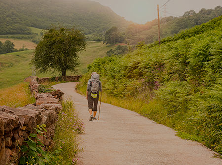 couverture de : Randonn&eacute;e : Saint Jacques de Compostelle