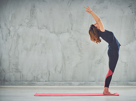 couverture de : Sp&eacute;cial Muscles Dorsaux