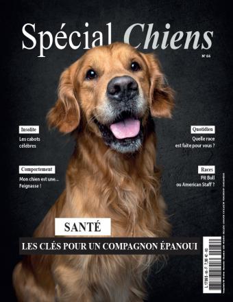 Spécial chiens