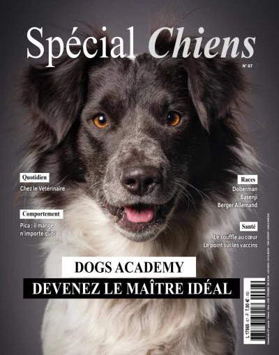 Spécial chiens | 