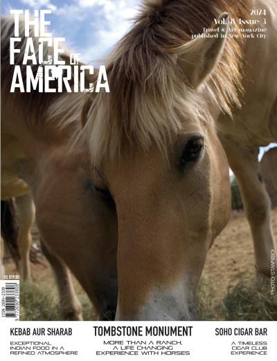 couverture de : The Face of America