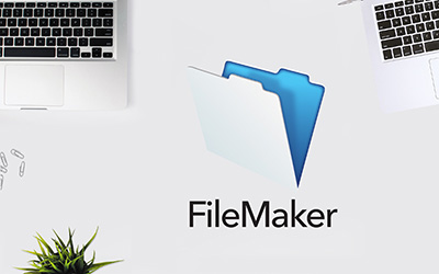 FileMaker Pro 15 | Les fondamentaux | 
