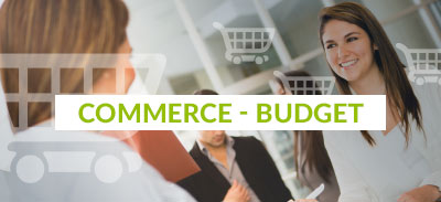 Commerce - Budget | 